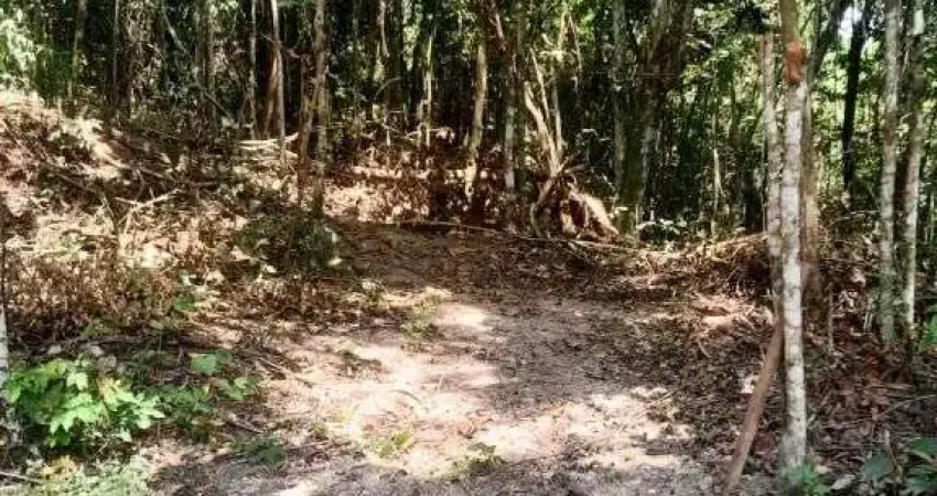 Terreno à venda, 2100 m² por R$ 300.000,00 - Vila Progresso - Niterói/RJ