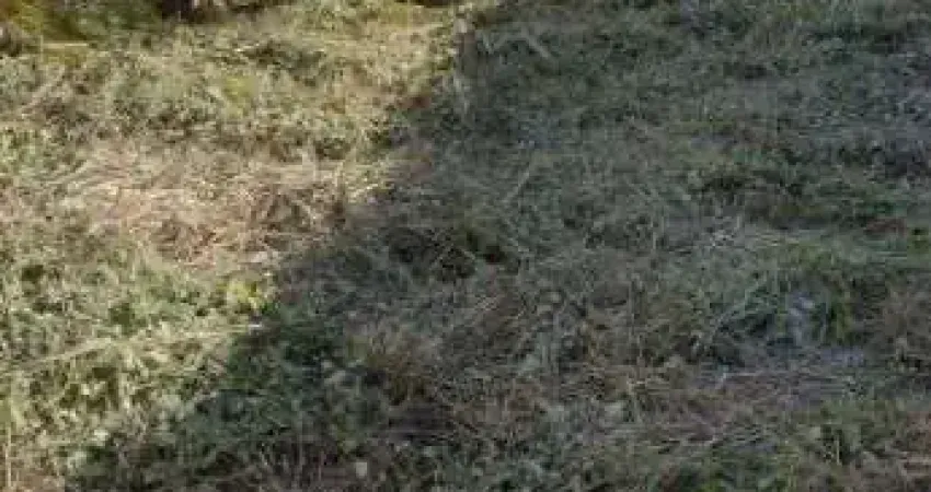 Terreno à venda, 432 m² por R$ 180.000,00 - Praia do Barbudo - Araruama/RJ