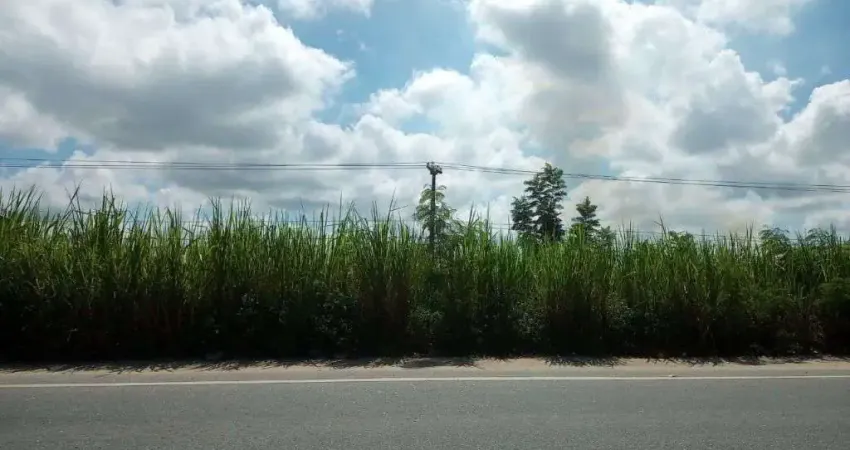 Terreno à venda, 1000 m² por R$ 350.000,00 - Engenho Grande - Araruama/RJ
