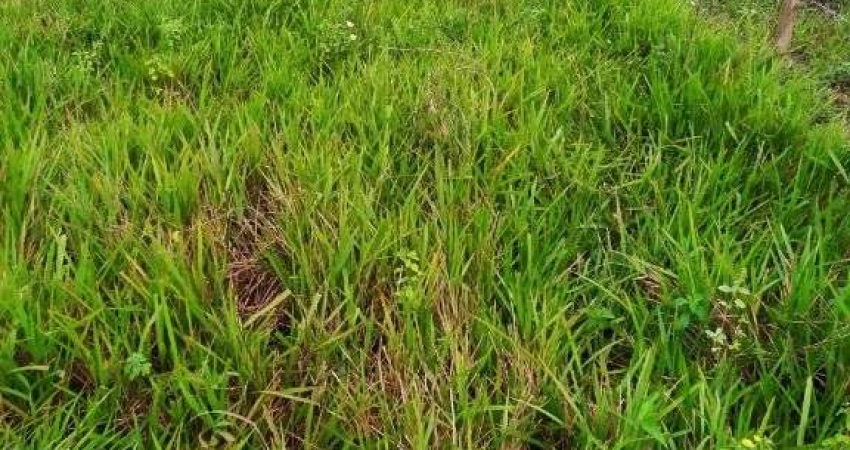 Terreno à venda, 450 m² por R$ 40.000,00 - Itatiquara - Araruama/RJ