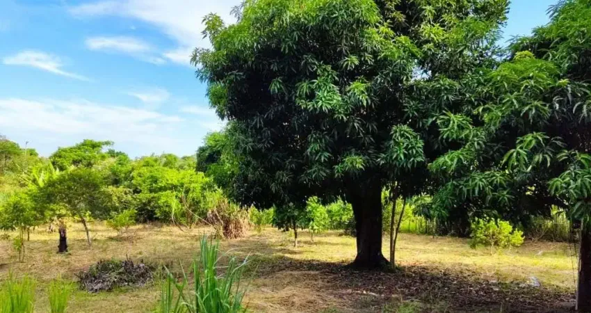 Chácara com 1 dormitório à venda, 6500 m² por R$ 250.000,00 - Itatiquara - Araruama/RJ