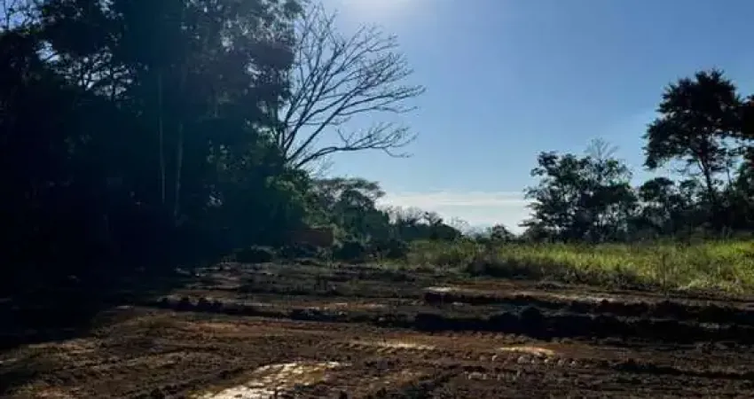 4 terrenos à venda no bairro espinheiros — rua asfaltada — itajaí/sc