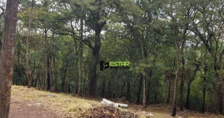 Terreno à venda, 3146 m² por R$ 490.000 - Jardim Estância Brasil - Atibaia/SP