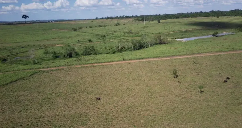 Fazenda Rondônia Alvorada do Oeste , região central do Estado