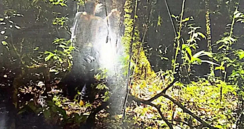 Terreno à venda na Rua Governador Pimenta Bueno, 1000, Zona Rural, Rio Preto da Eva