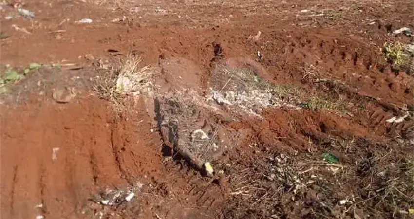 Casa com 3 quartos à venda na Ronald De Oliveira Costa, Parque das Hortências, Araraquara