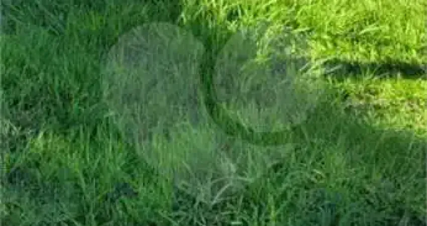 Terreno à venda no Altos do Jaraguá, Araraquara