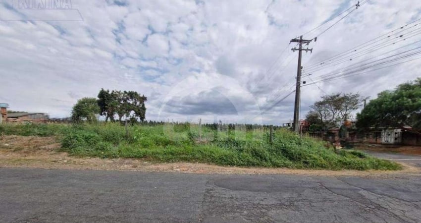 Terreno à venda na Rua Cyrena Stahlschimidt Martins, Colônia Dona LuÍza, Ponta Grossa