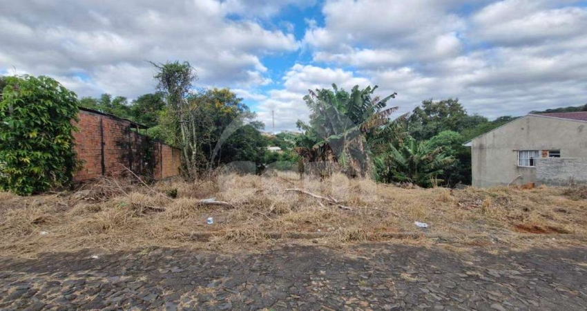 Amplo terreno à venda em Uvaranas – 1.200m² para tirar seus planos do papel!