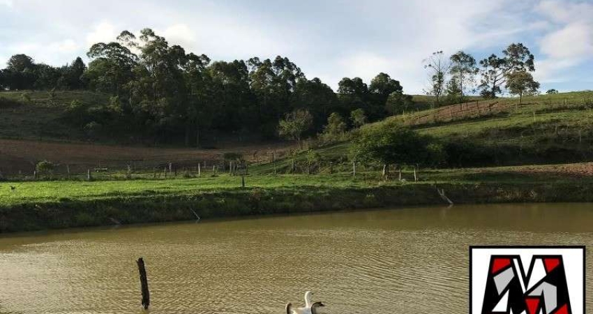 Terreno à venda em Campo Largo, Jarinu 