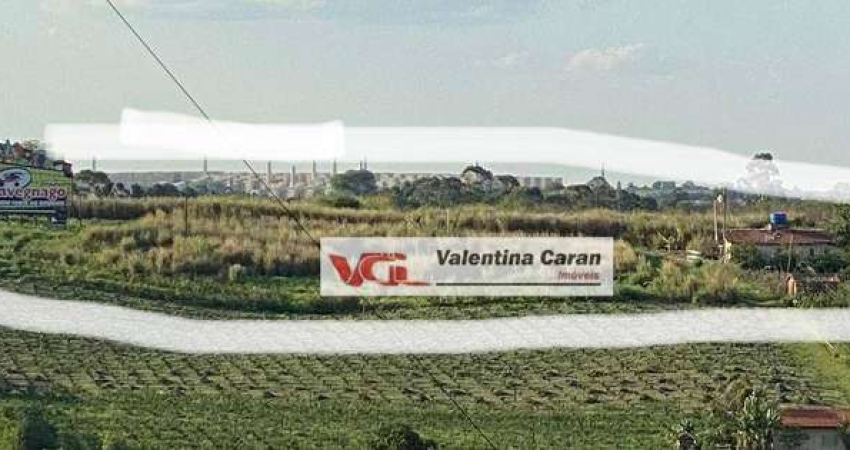 Área à venda, 18000 m² por R$ 2.110.000,00 - Reforma Agrária - Valinhos/SP