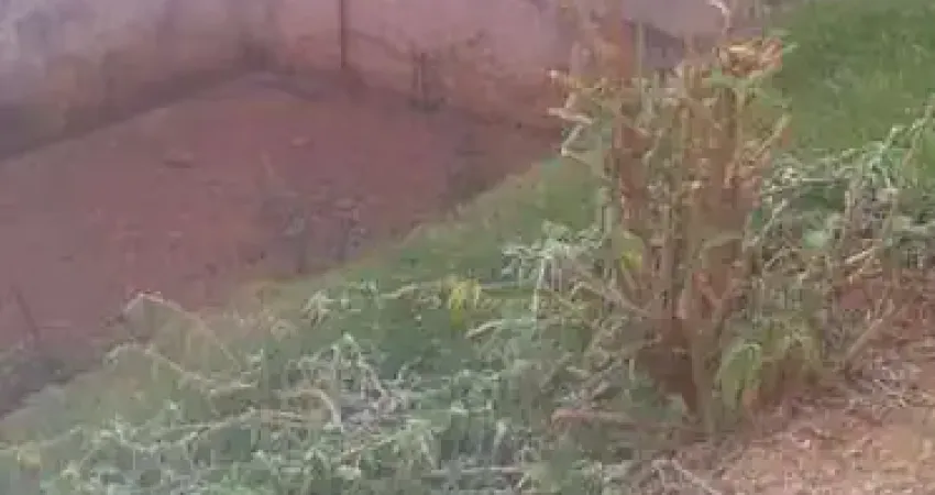 Terreno residencial à venda, 250 m², plano, jardim monte verde, indaiatuba.