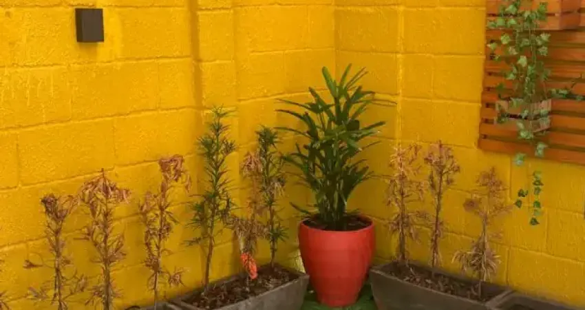 Apartamento com 2 quartos para alugar na Rua Sucupió, 10, Catu de Abrantes, Camaçari