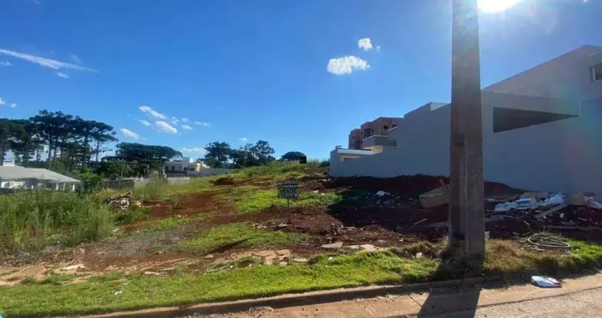 Terreno à venda na Rua Munir Ibrahim, Efapi, Chapecó