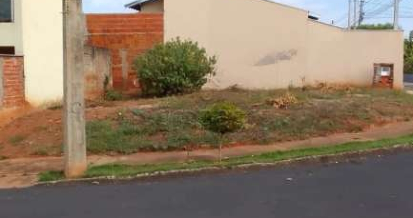 Terreno comercial para alugar na Rua Delfino Fernandes de Souza, Residencial Mirante, São José do Rio Preto