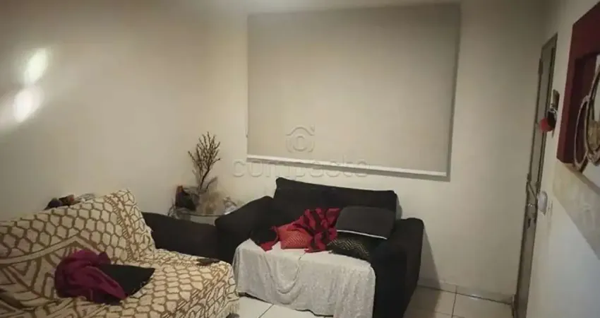 Casa com 2 quartos à venda no Parque das Amoras, São José do Rio Preto