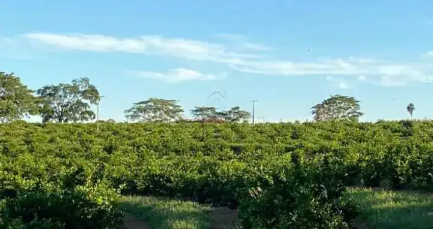 Chácara / sítio com 2 quartos à venda na Zona Rural, Palmeira D'Oeste 