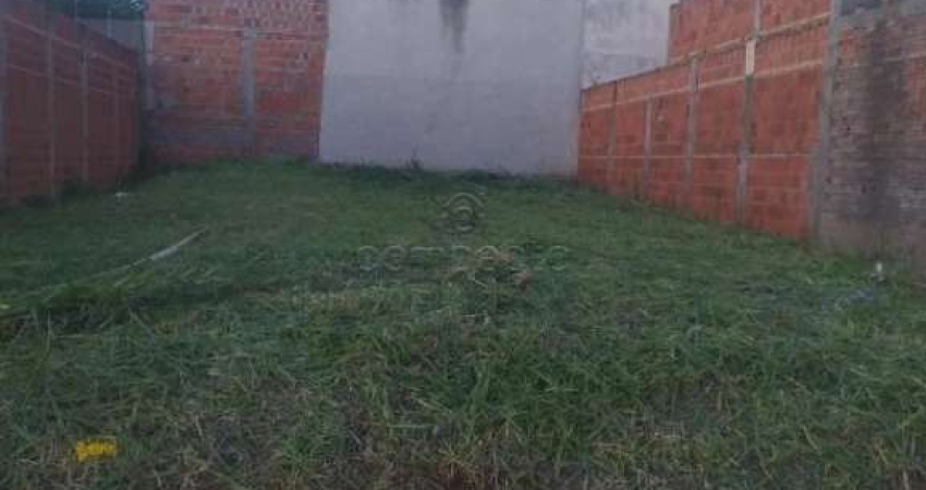 Terreno Padrão em São José do Rio Preto