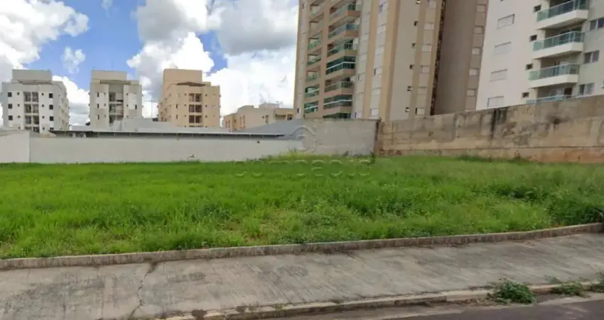 Terreno Padrão