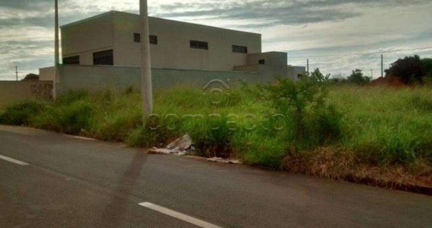 Terreno à venda no Residencial São Thomaz, São José do Rio Preto 