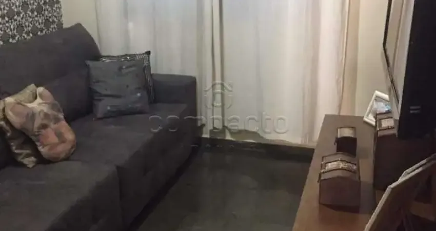 Casa Padrão em São José do Rio Preto