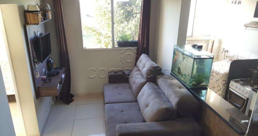 Apartamento com 2 quartos à venda no Centenário da Emancipação, São José do Rio Preto 