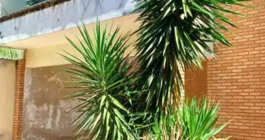 Casa com 3 quartos à venda no Jardim Bosque das Vivendas, São José do Rio Preto