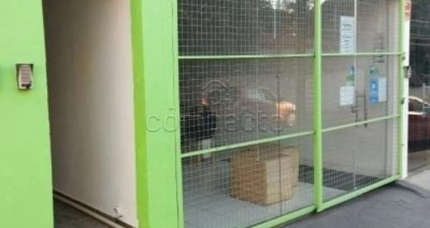 Casa com 1 quarto para alugar na Rua Saldanha Marinho, Vila Santo Antônio, São José do Rio Preto