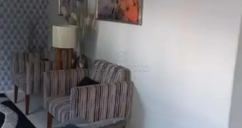 Casa com 4 quartos à venda no Roseiral, São José do Rio Preto