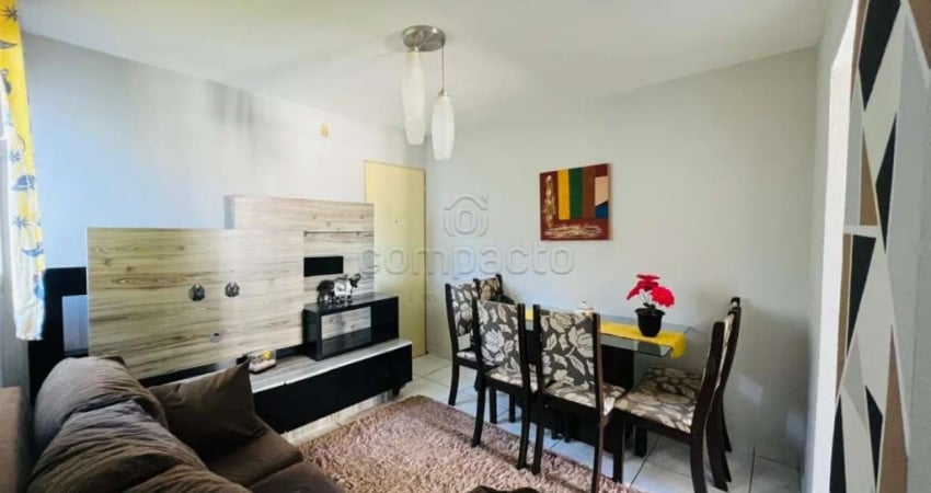 Apartamento Padrão em São José do Rio Preto