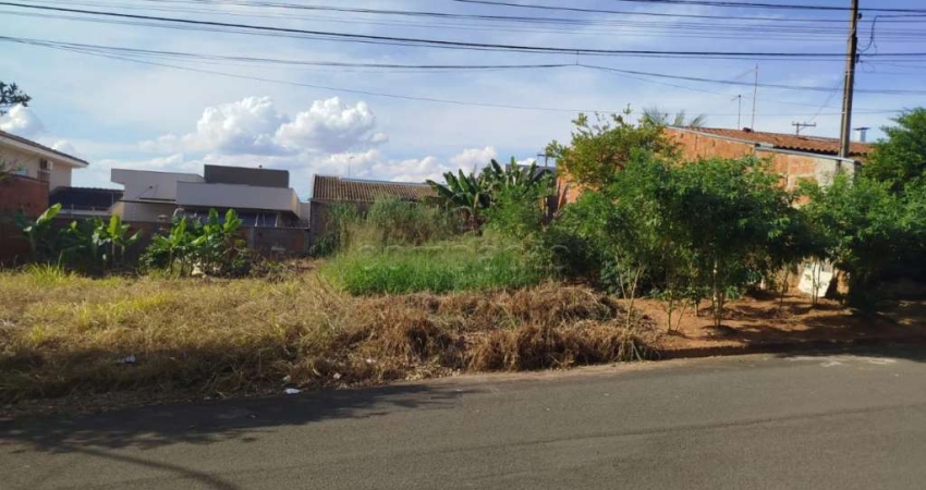 Terreno à venda no Jardim Menezes, Bady Bassitt 