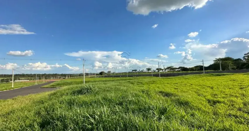 Terreno à venda no Jardim Paulistano, São José do Rio Preto 
