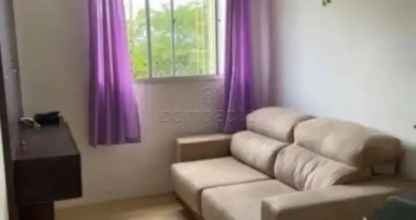 Apartamento com 2 quartos para alugar na Rua Gladstone de Abreu Cardoso, Parque das Flores II, São José do Rio Preto