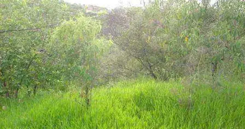 Chácara / sítio à venda na Rua Serra da Piedade, Estância Serra Negra, São Joaquim de Bicas