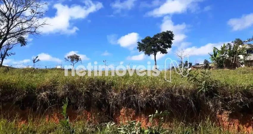 Terreno à venda na Avenida Guandu, Bandeirinhas, Betim