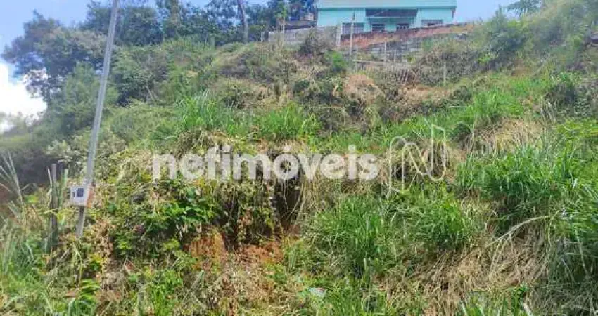 Casa com 2 quartos à venda na Rua Senhorinha Gomes Martins, Tropical, Contagem
