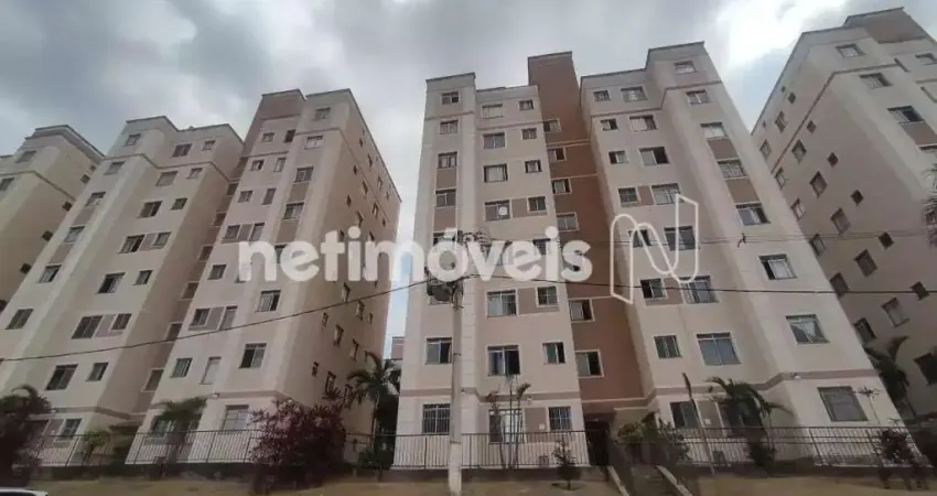 Apartamento com 2 quartos à venda no Nova Baden, Betim 