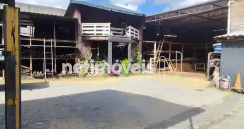 Terreno à venda na Vila Universal, Betim