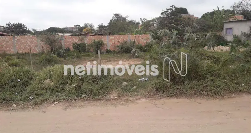 Terreno à venda na Rua Oitenta e Três, Tropical, Contagem