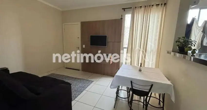 Apartamento com 2 quartos à venda no Nova Baden, Betim