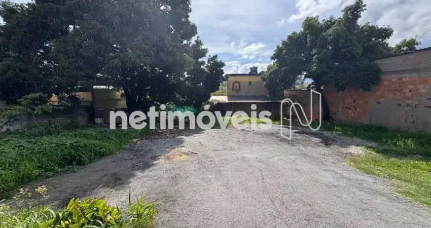 Terreno à venda na Vila Universal, Betim