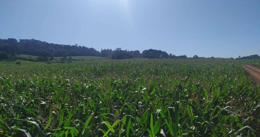 CHÁCARA A VENDA EM SÃO MIGUEL DO IGUAÇU
