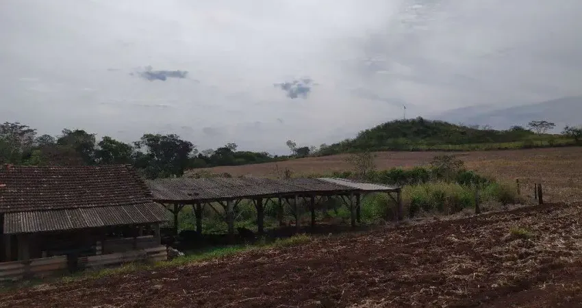 Chácara / sítio à venda na URUSANGA, Zona Rural, São Miguel do Iguaçu