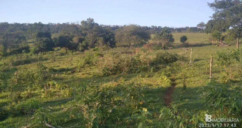 Chácara / sítio à venda na CENTRO, Centro, João Pinheiro