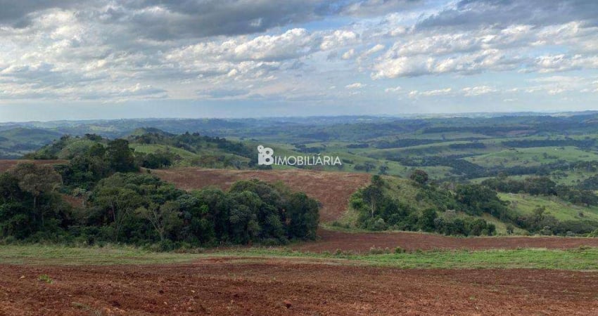 Chácara / sítio à venda na CENTRO, Centro, Nova Laranjeiras