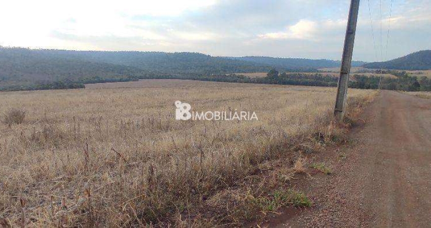 Chácara / sítio à venda na Indefinido, Centro, Santa Tereza do Oeste
