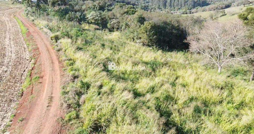 Chácara / sítio à venda na Santa Tereza Do Oeste, Centro, Santa Tereza do Oeste