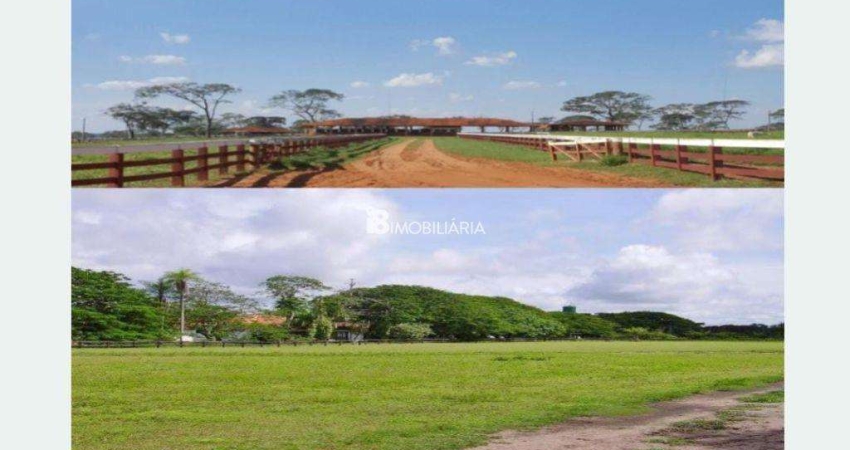 FAZENDA GRANDE PORTE EM CORUMBÁ-MS 78.555 HECTARES