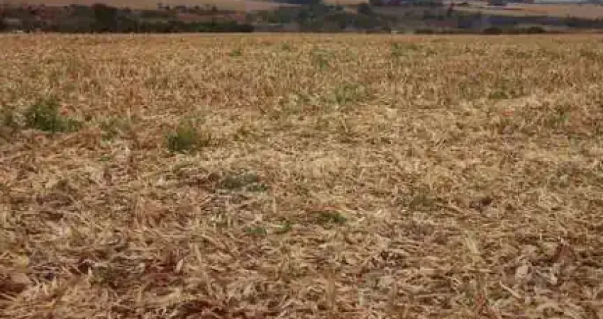 Chácara / sítio à venda no Centro, São Miguel do Iguaçu 