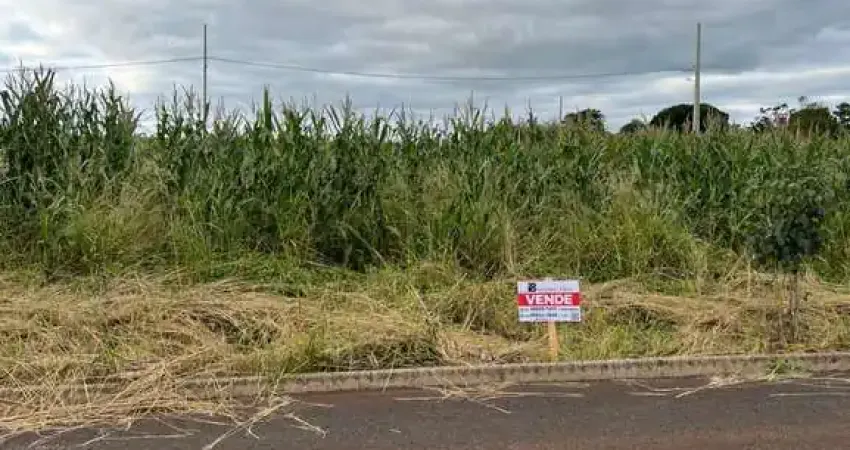 Terreno à venda na Marasca, Centro, Missal